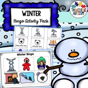 Winter Bingo Activity Pack