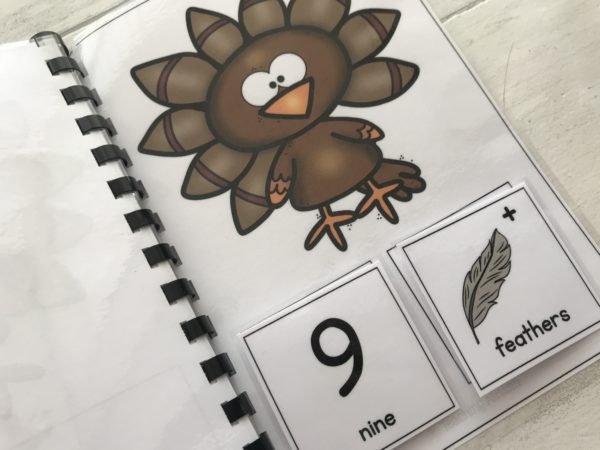 Thanksgiving Adapted Books