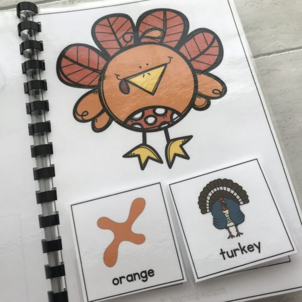 Thanksgiving Adapted Books