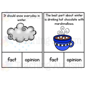 Winter Fact or Opinion Task Cards