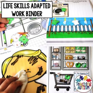 Life Skills Adapted Work Binder