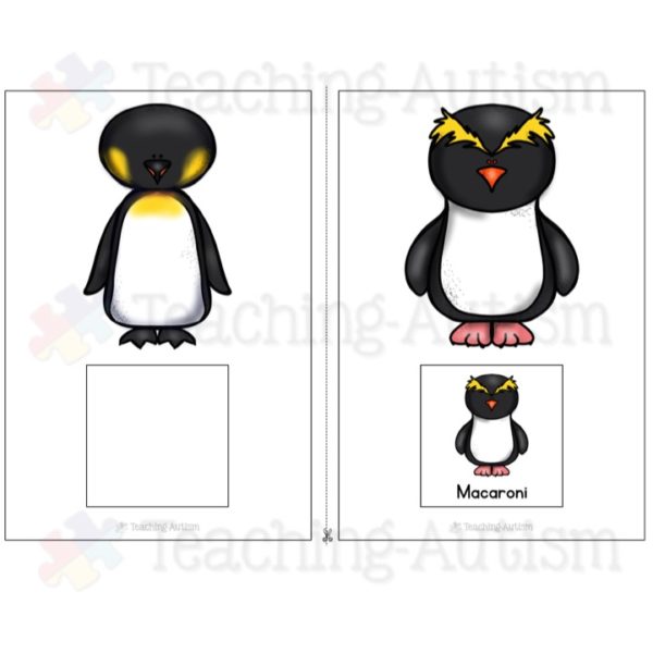 Types of Penguins Adapted Book
