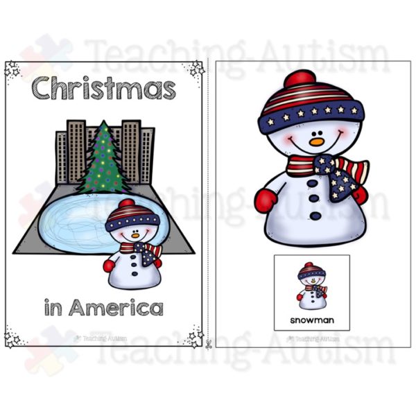 Christmas in America Adapted Book
