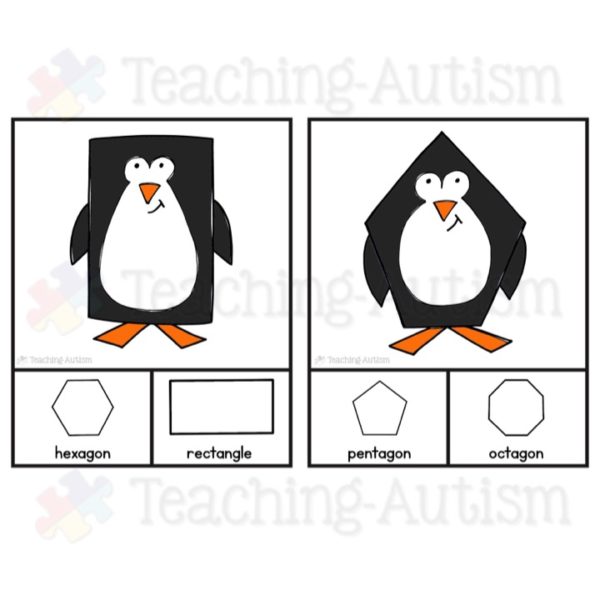 Penguin 2D Shape Recognition