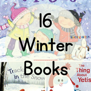 16 Winter Books