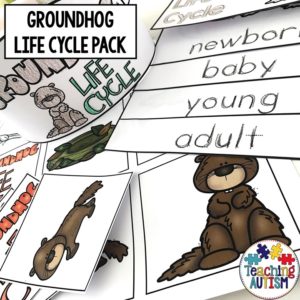 Groundhog Life Cycle Activities