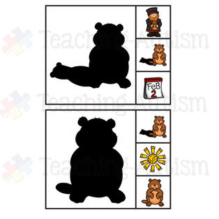 Groundhog Day Shadow Matching Task Cards - Teaching Autism