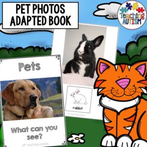 Pet Shop Adapted Book