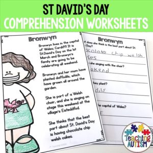 St David's Day Comprehension Worksheets