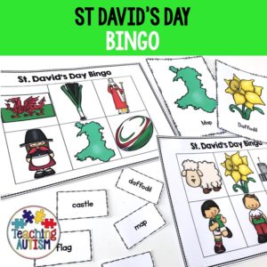 St David's Day Bingo