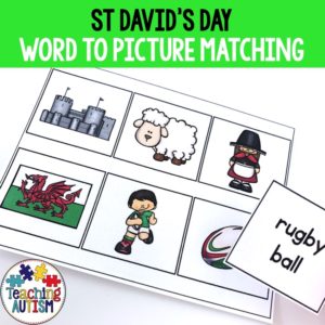 St David's Day Literacy Activity