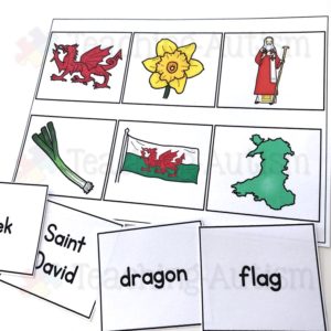 St David's Day Literacy Activity