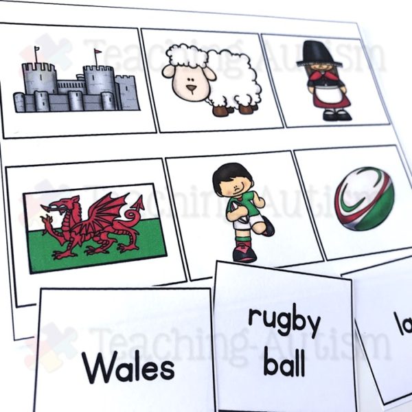 St David's Day Literacy Activity