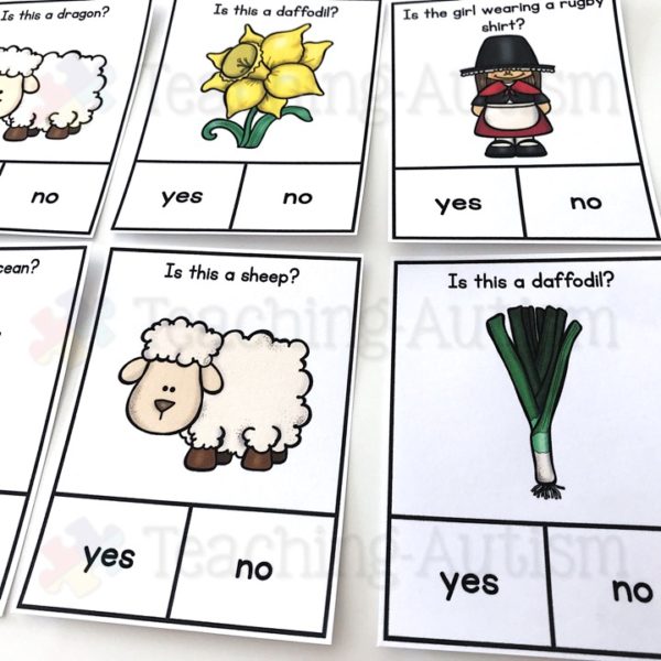 St David's Day Question Task Cards