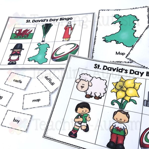 St David's Day Bingo