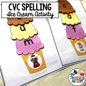 CVC Words Spelling Activity