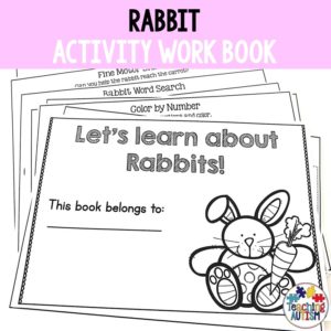 Rabbit Activity Work Book