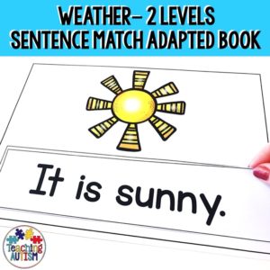 Weather Sentence Matching Activity