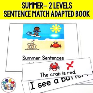 Matching Sentences for Summer Adapted Book