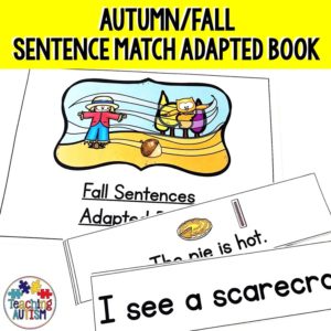 Sentence Recognition and Matching for Autumn