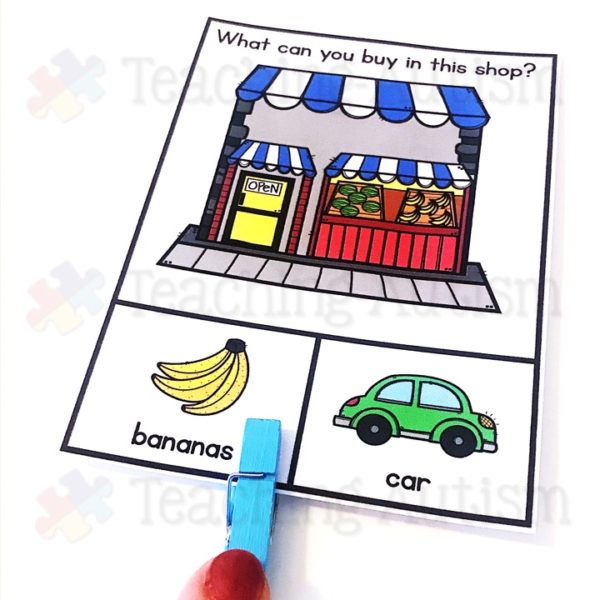 Wh Question Visual Task Cards