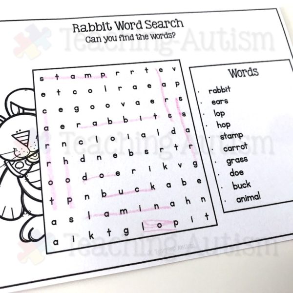 Rabbit Activity Work Book