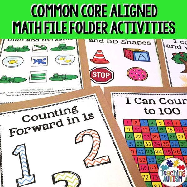 Maths File Folder Activities