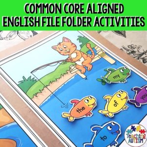 Literacy File Folder Activities