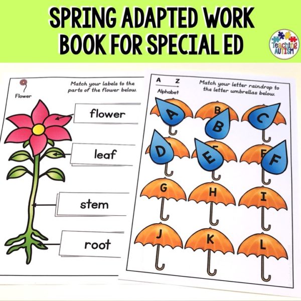 Spring Adapted Binder