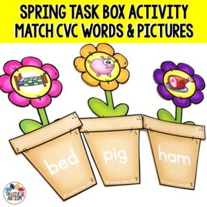 CVC Words Matching Task Box