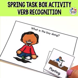 Verb Recognition Task Box Activity