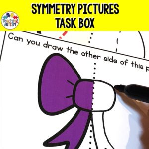 Symmetry Drawing Task Box Activity
