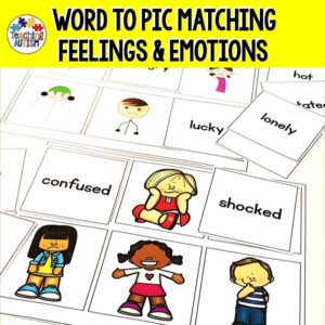 Feelings and Emotions Activity