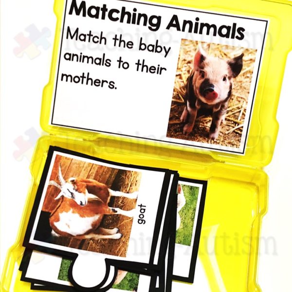 Matching Animal Babies and Parents