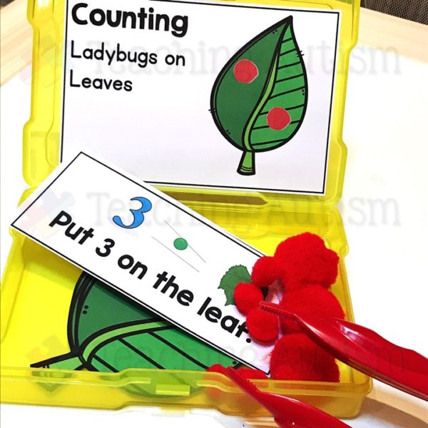 Ladybug Math Activity, Counting Leaves