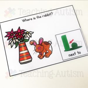 Preposition Task Box Activity