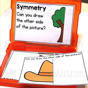 Symmetry Drawing Task Box Activity