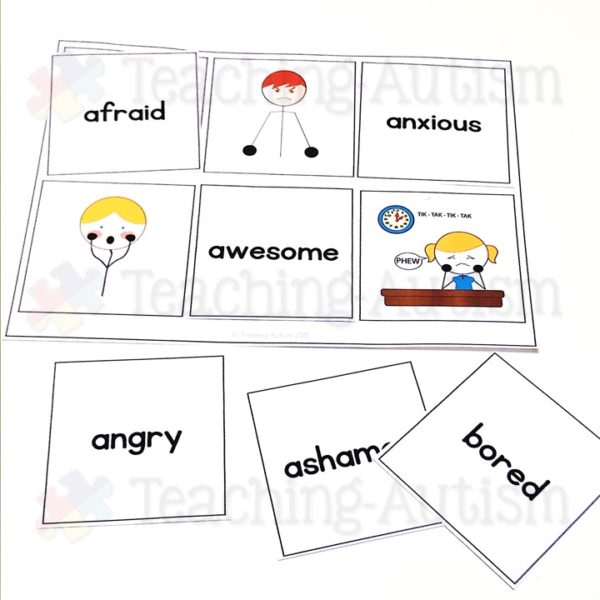 Feelings and Emotions Activity