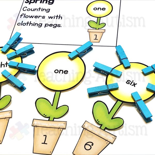 Spring Counting Task Box