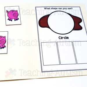 Errorless Learning File Folder Activities - Farm