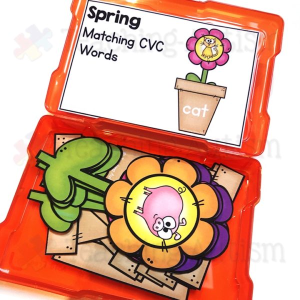 CVC Words Matching Task Box