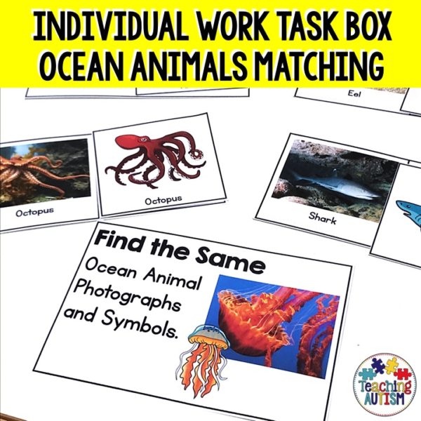 Ocean Animals Activity for Kids