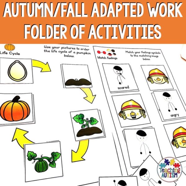 Autumn Adapted Binder