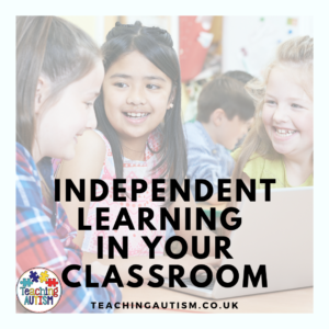Independent Learning in the Classroom