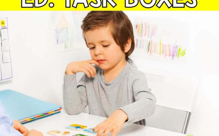 Special Education Task Boxes Podcast