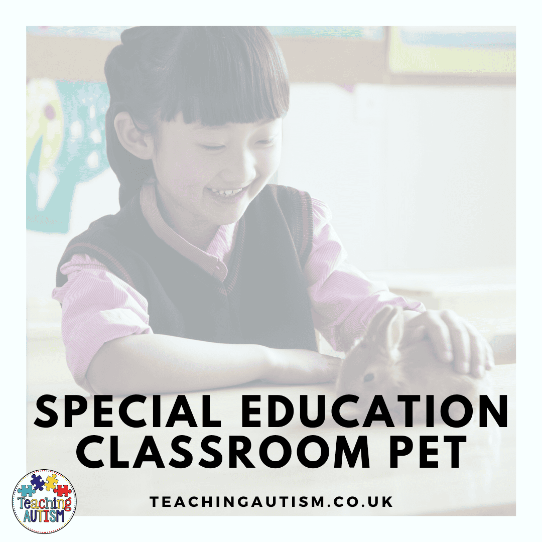 Classroom Pet in Special Education Teaching Autism