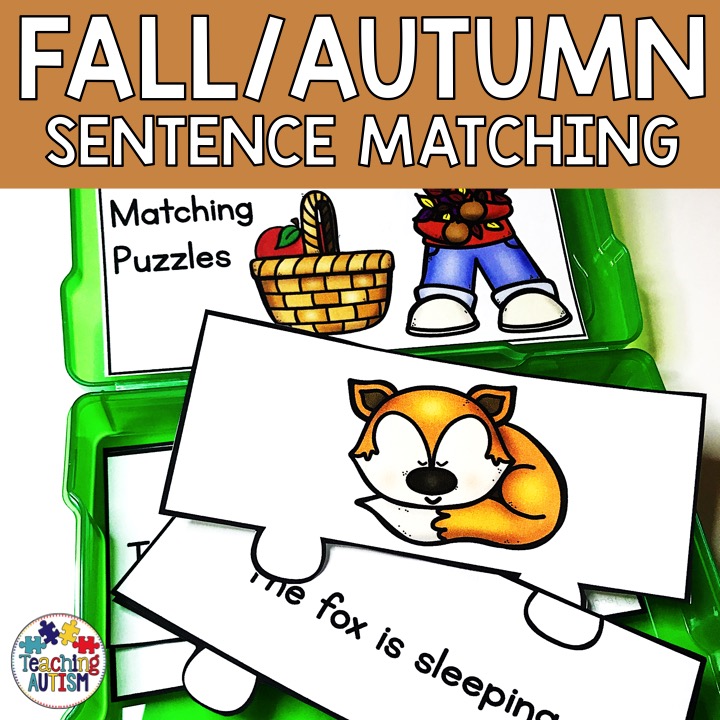 Picture Sentence Matching