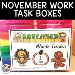 Special Education Task Boxes