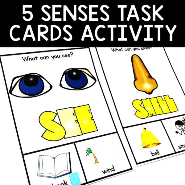 Five Senses Activity