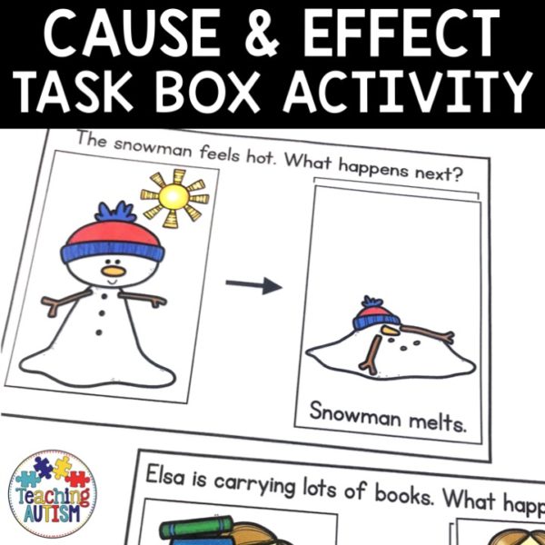 Cause and Effect Activity